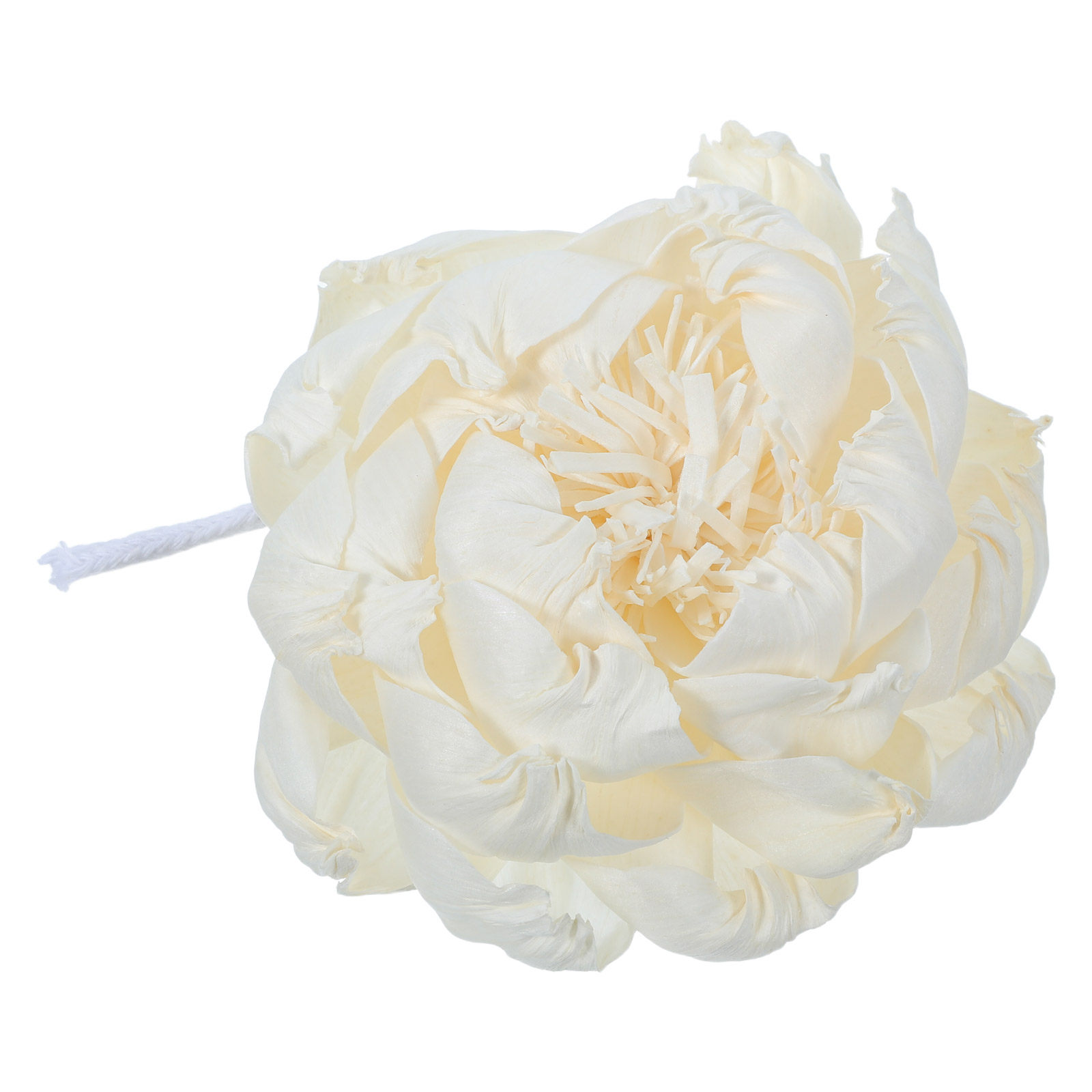 Peony Head Fragrance Diffuser  - Home And You Fragrance Diffuser review and price