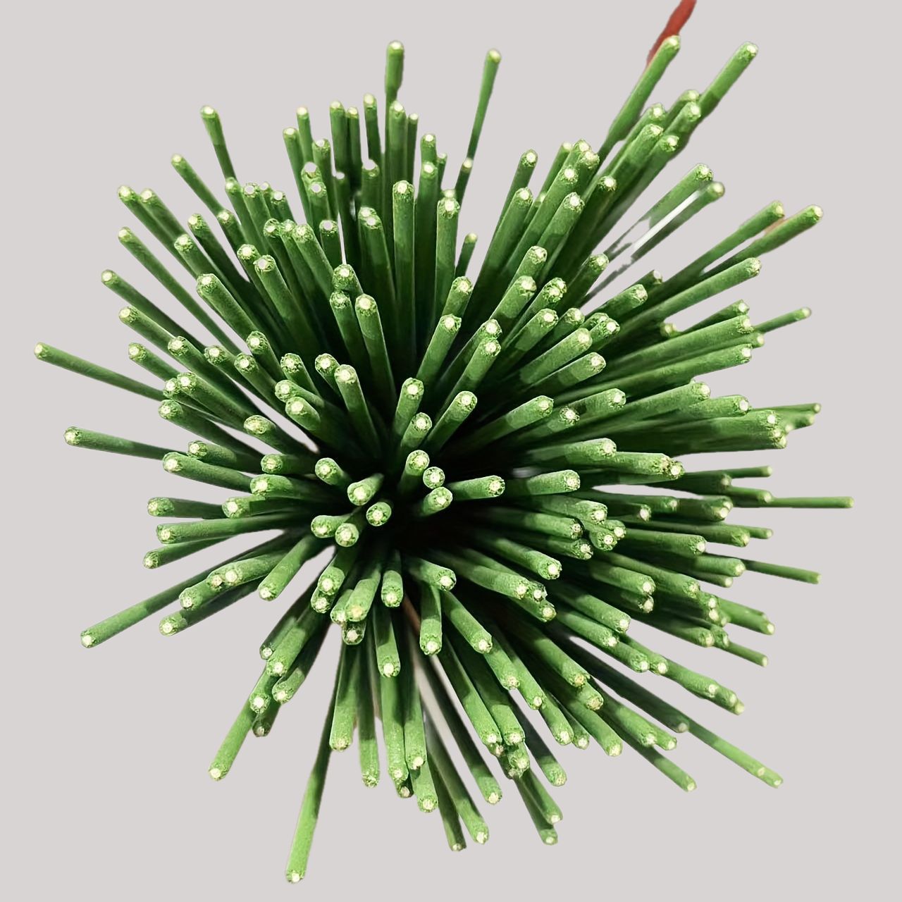Reed Diffuser Sticks Lemongras - Home Fragrance Diffuser Sticks review and price